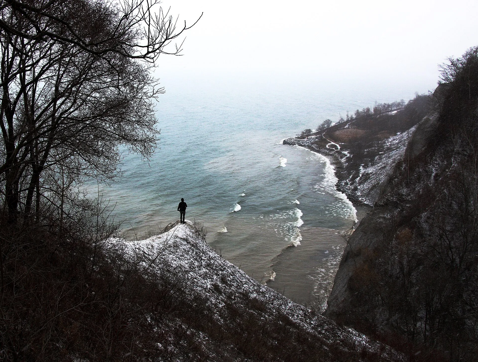 Cliffside, Scarborough real estate